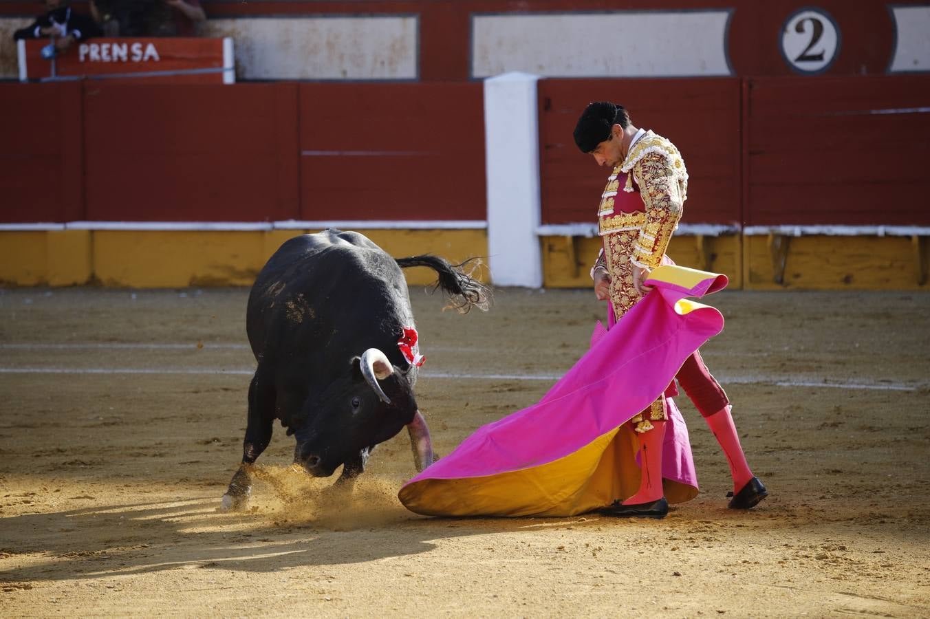 El «mano a mano» de enrique Ponce y Curro Díaz en Cabra, en imágenes (I)