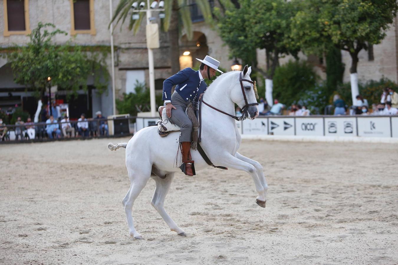 La II Copa de España de Doma Vaquera en Córdoba, en imágenes