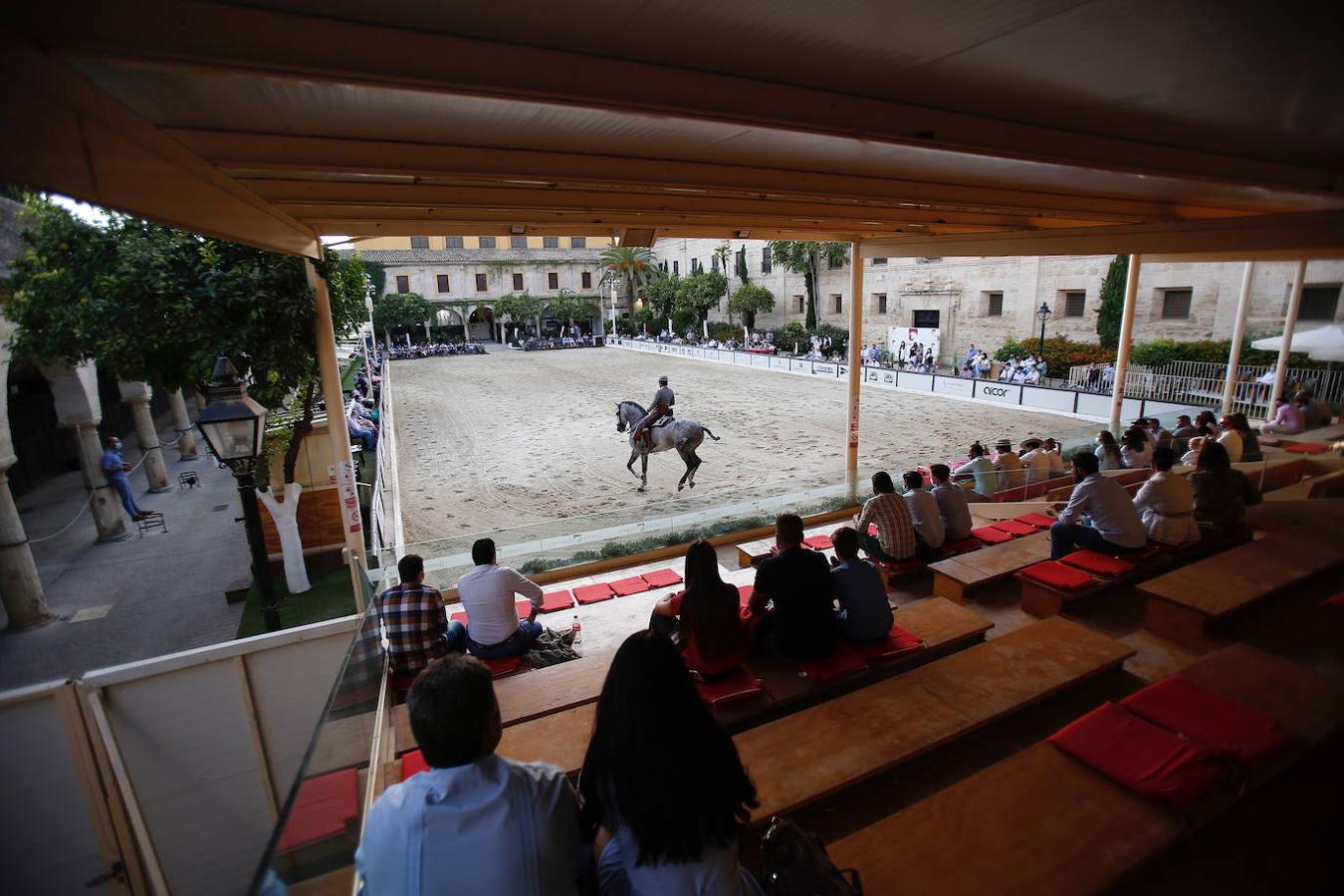 La II Copa de España de Doma Vaquera en Córdoba, en imágenes