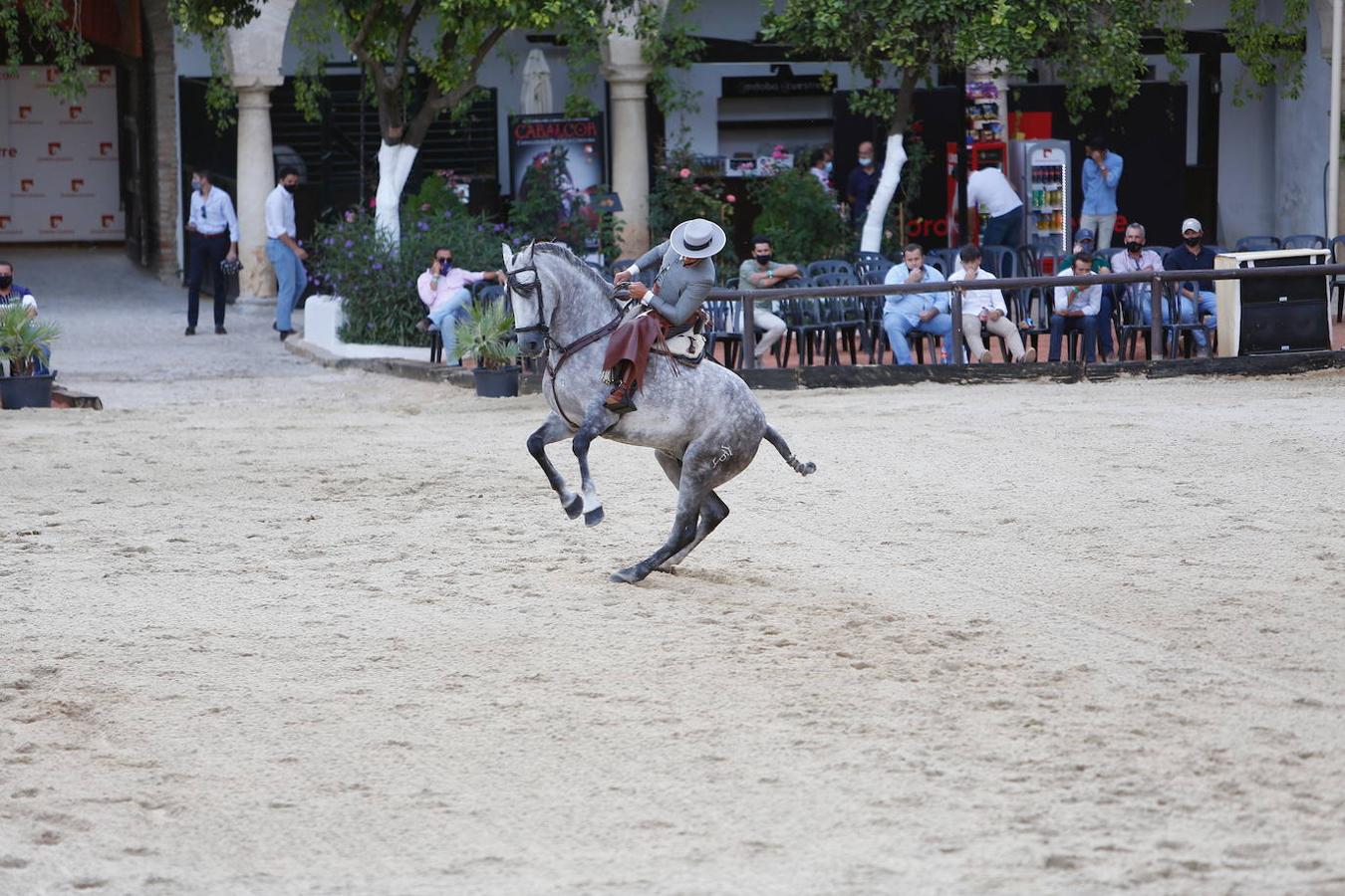 La II Copa de España de Doma Vaquera en Córdoba, en imágenes