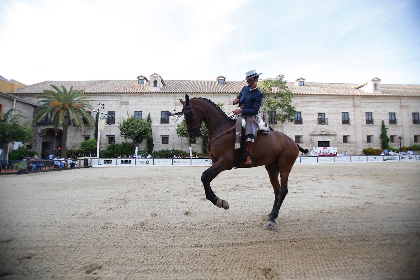 La II Copa de España de Doma Vaquera en Córdoba, en imágenes