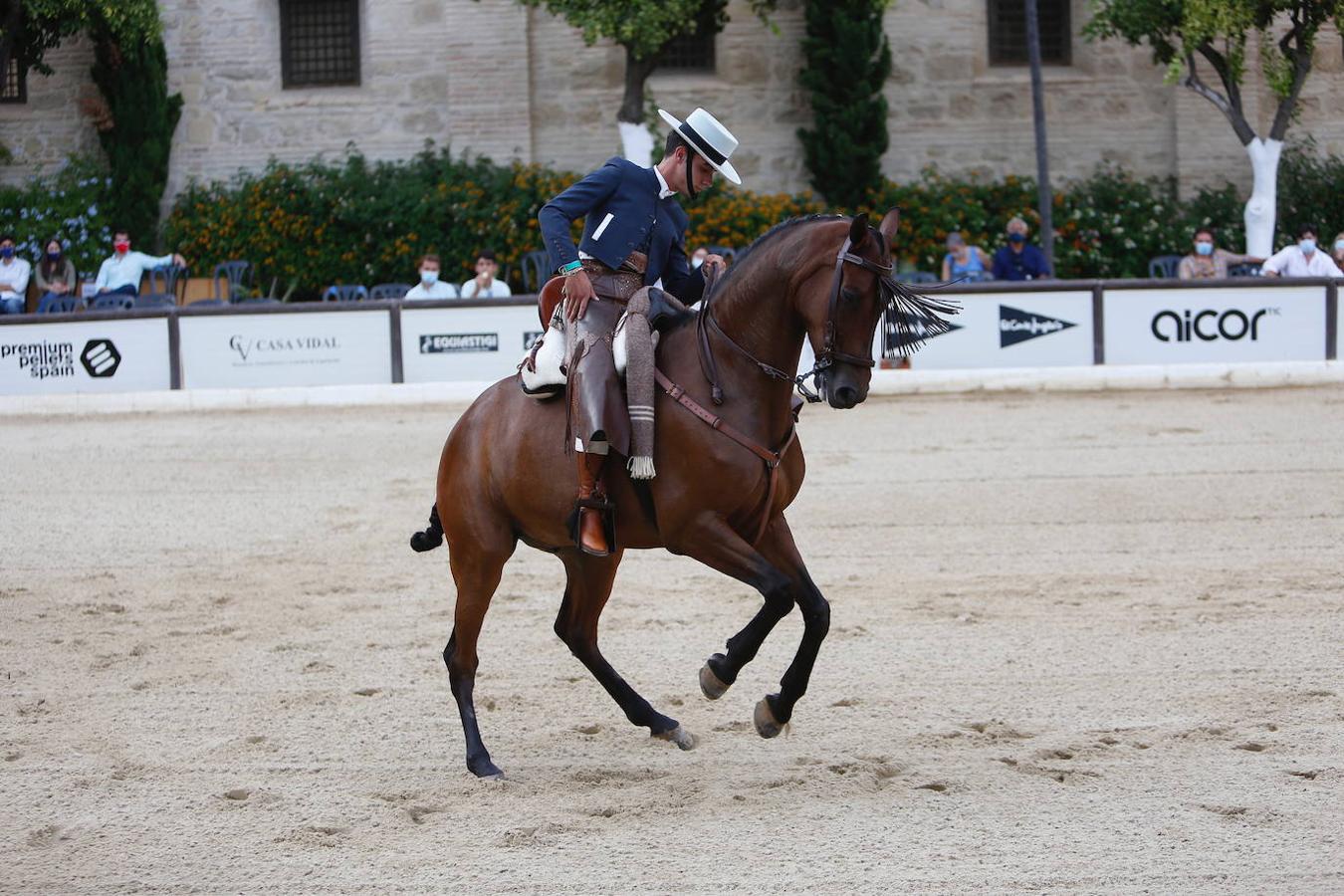 La II Copa de España de Doma Vaquera en Córdoba, en imágenes