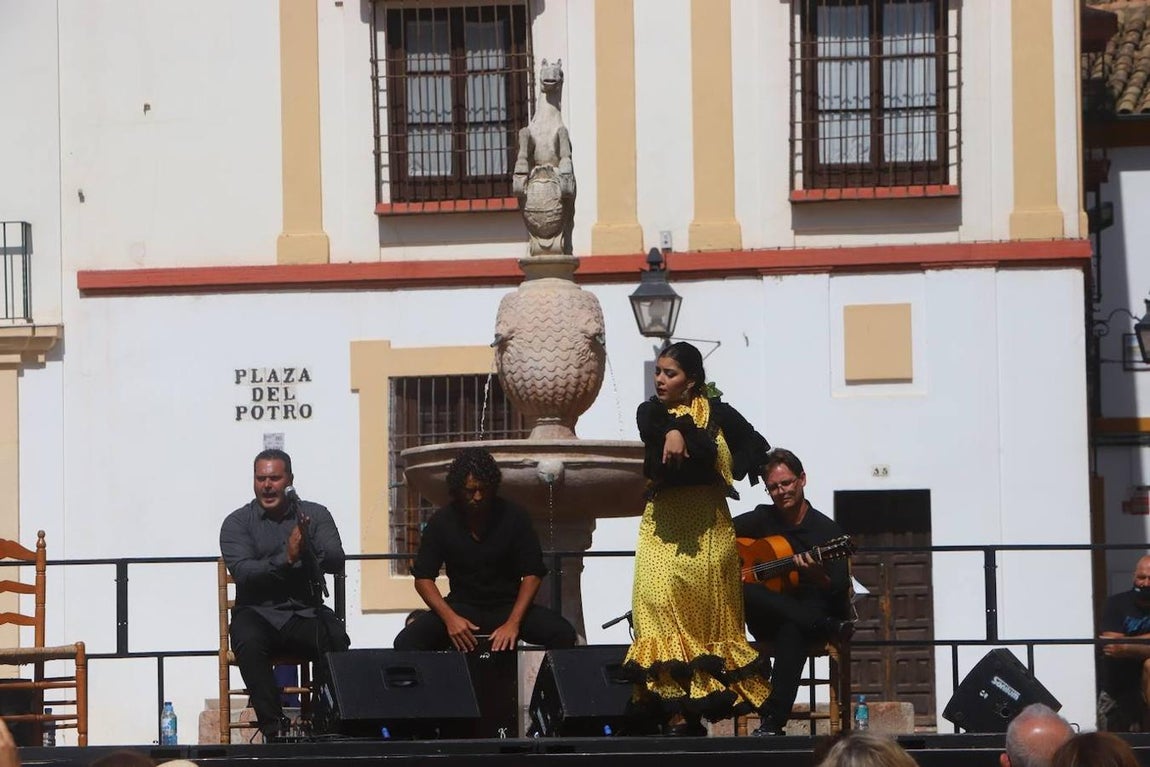 Las celebraciónes del día del Turismo en Córdoba, en imágenes