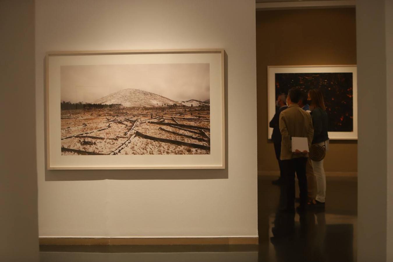 Las exposiciones del X Premio Pilar Citoler en Córdoba, en imágenes