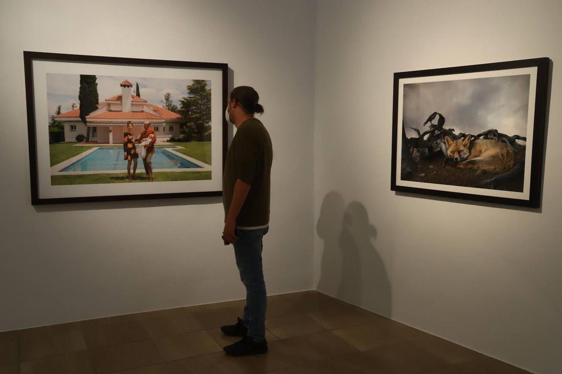 Las exposiciones del X Premio Pilar Citoler en Córdoba, en imágenes