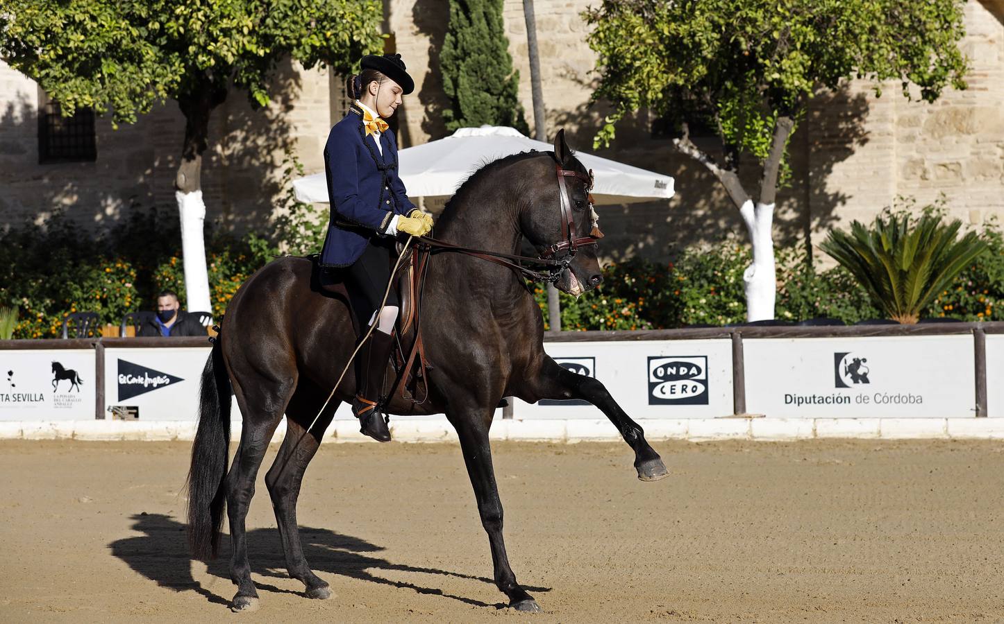 El XVIII Campeonato de Andalucía de Alta Escuela en Caballerizas, en imágenes