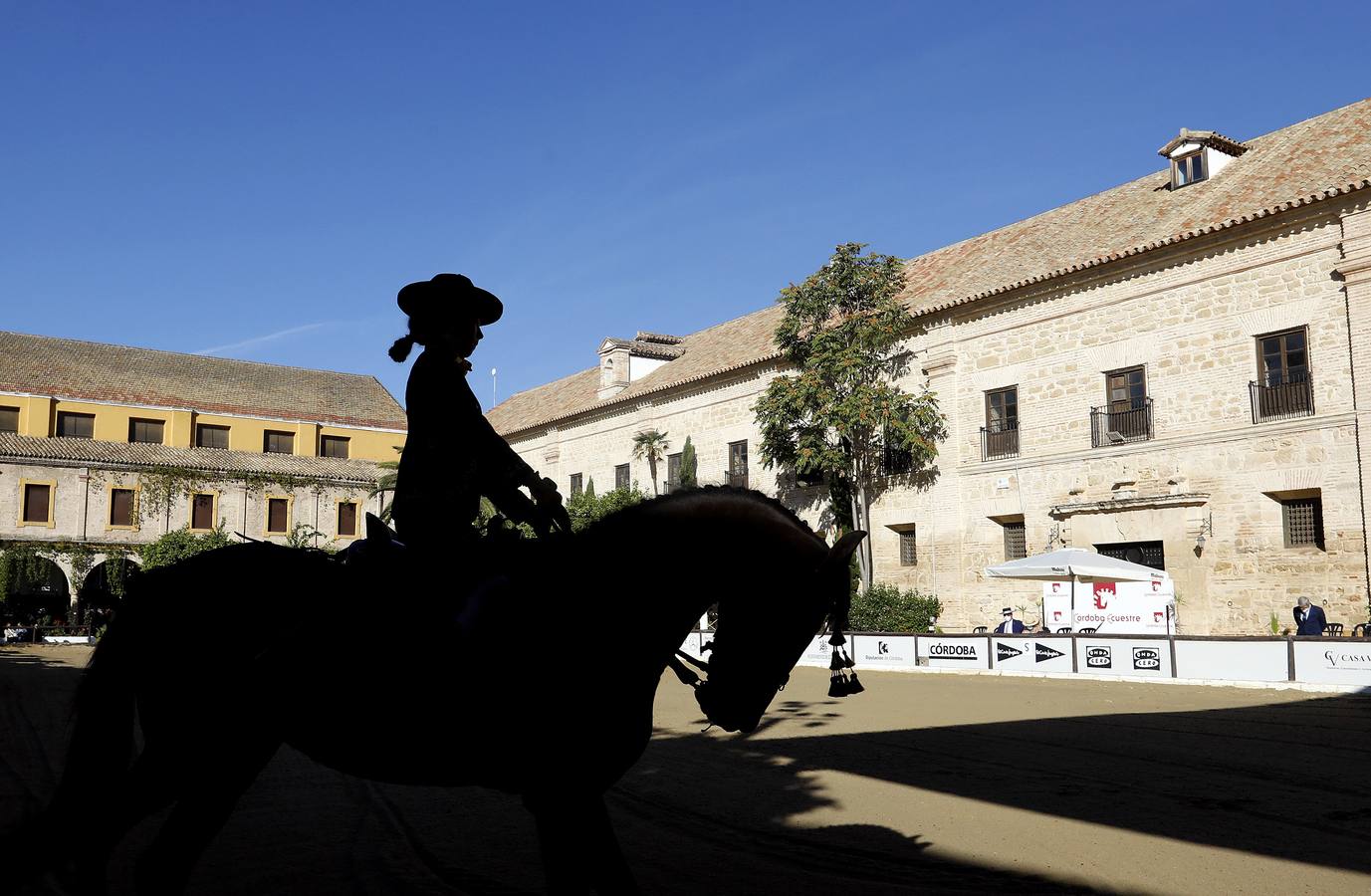 El XIII Campeonato de Andalucía de Alta Escuela en Caballerizas, en imágenes