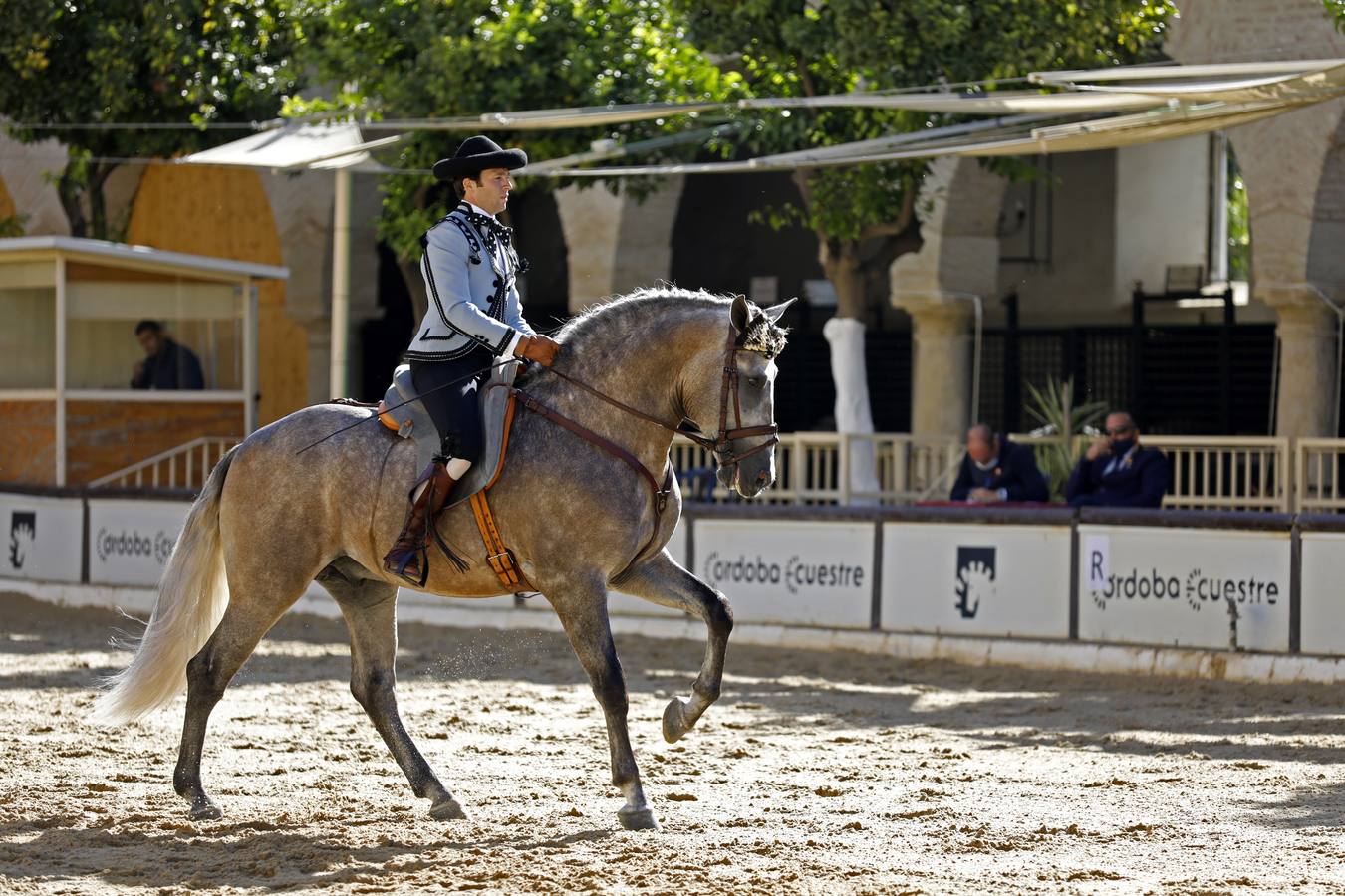 El XIII Campeonato de Andalucía de Alta Escuela en Caballerizas, en imágenes