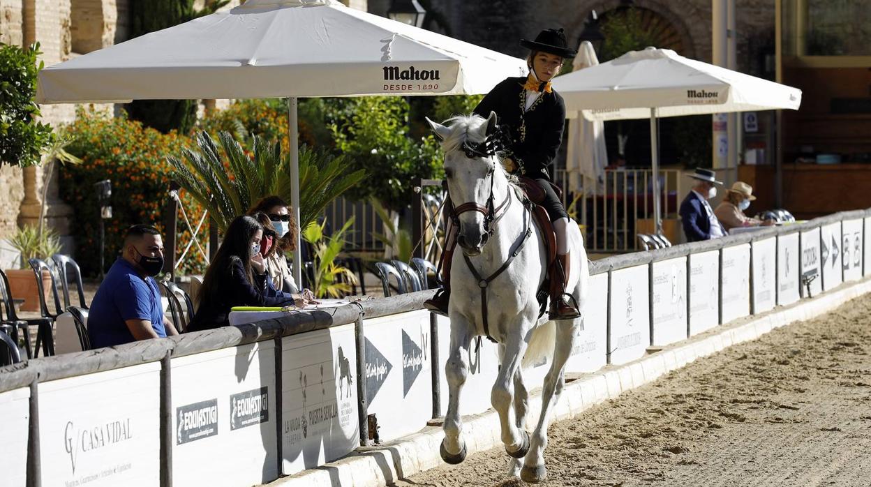 El XIII Campeonato de Andalucía de Alta Escuela en Caballerizas, en imágenes