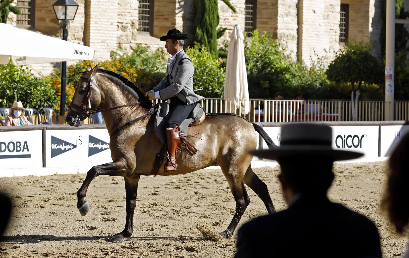 El XIII Campeonato de Andalucía de Alta Escuela en Caballerizas, en imágenes