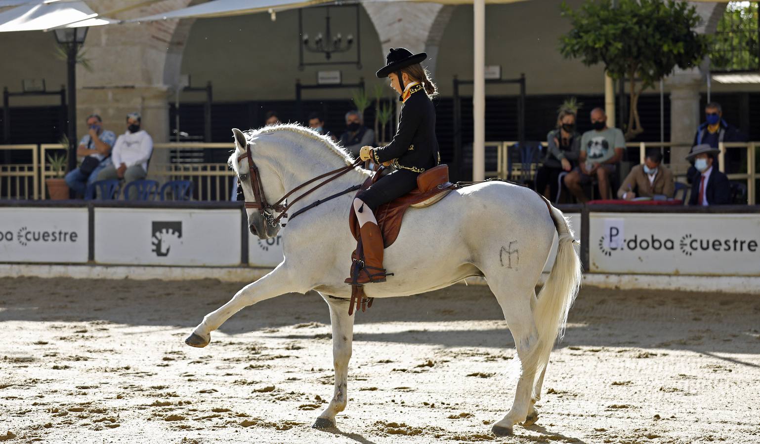 El XIII Campeonato de Andalucía de Alta Escuela en Caballerizas, en imágenes