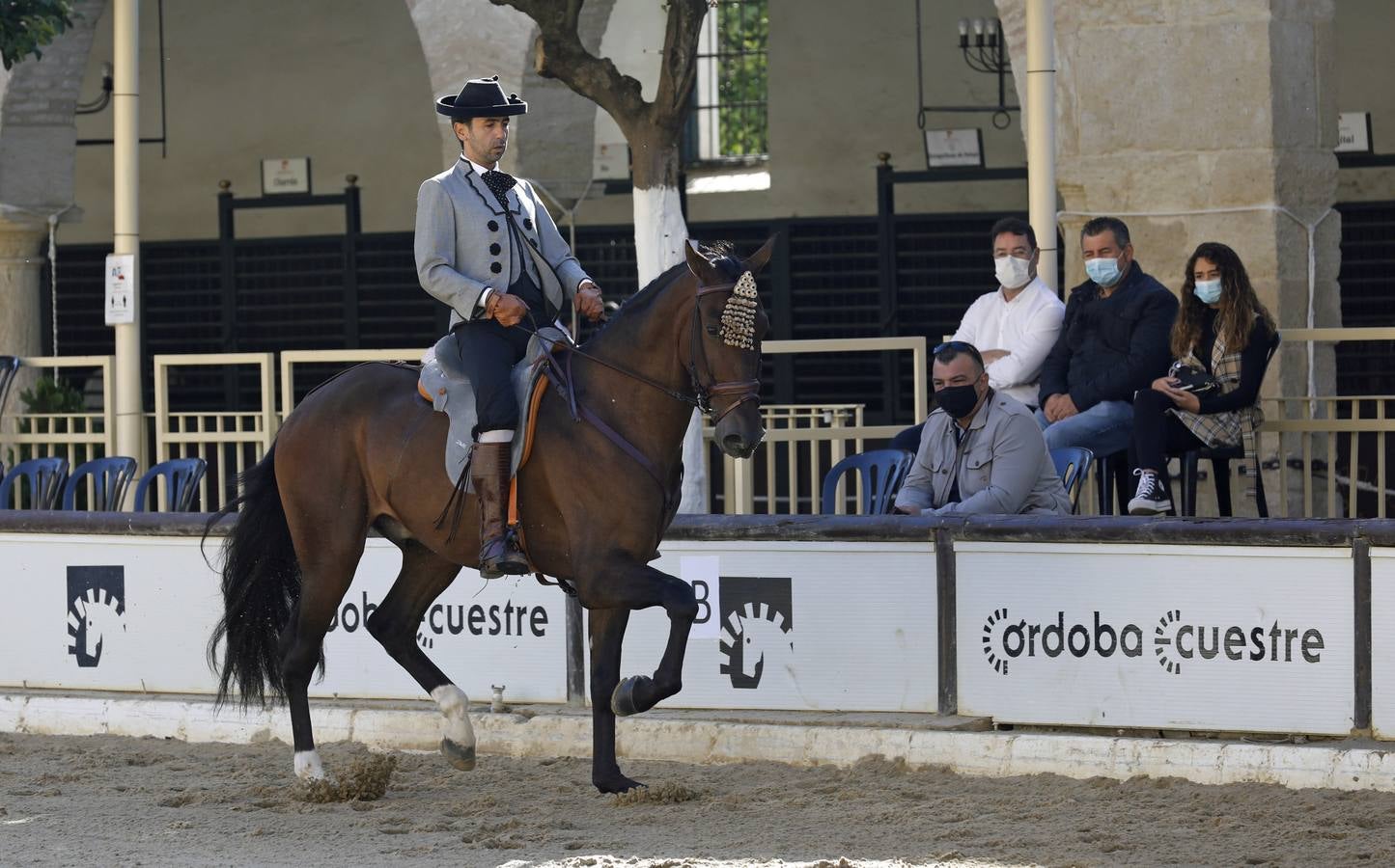 El XIII Campeonato de Andalucía de Alta Escuela en Caballerizas, en imágenes