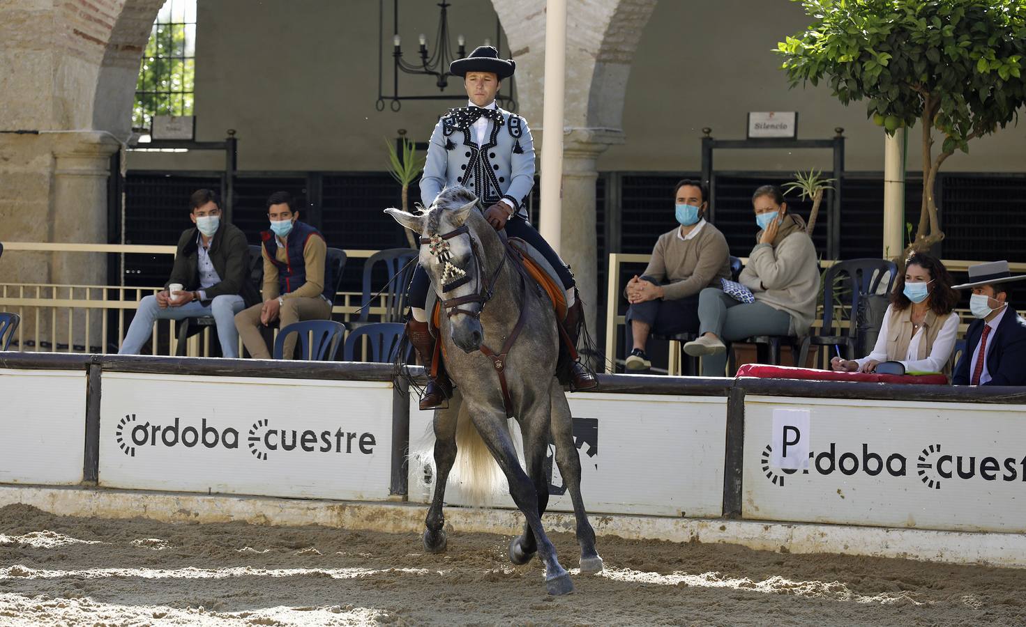 El XIII Campeonato de Andalucía de Alta Escuela en Caballerizas, en imágenes