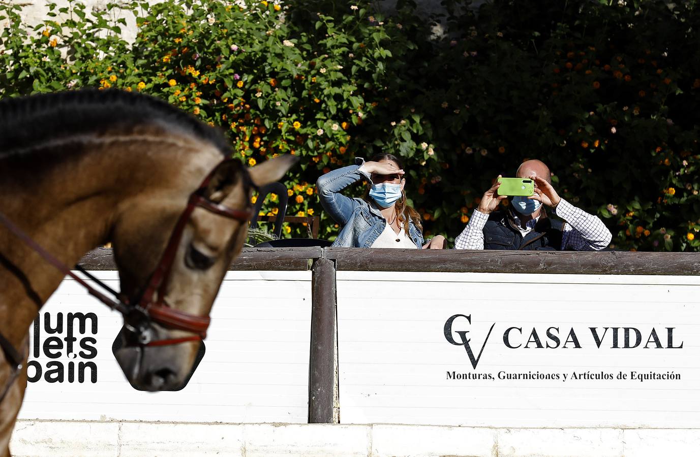 El XVIII Campeonato de Andalucía de Alta Escuela en Caballerizas, en imágenes