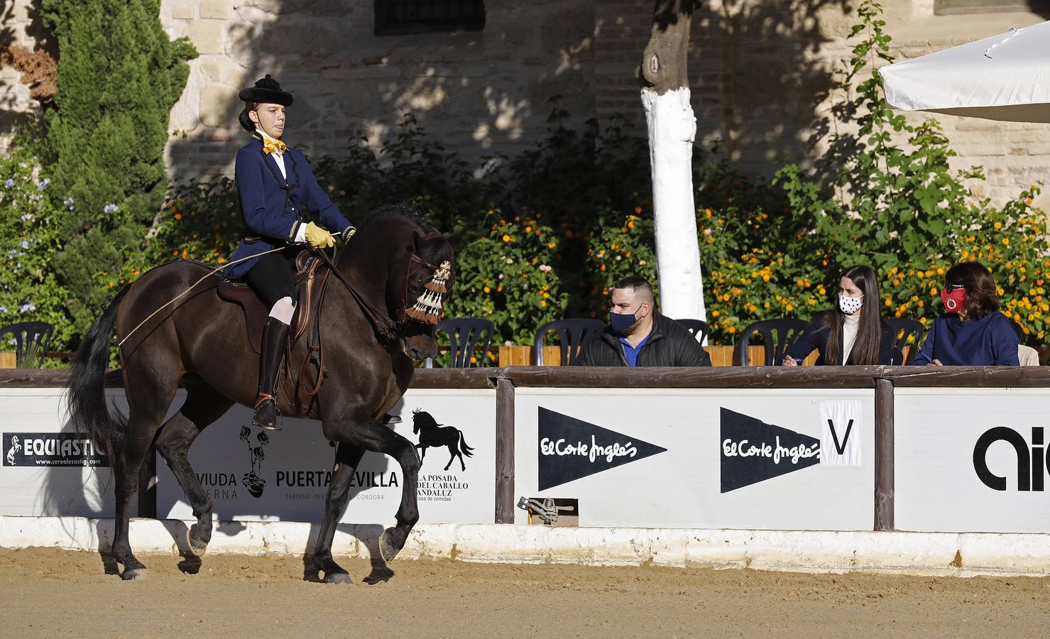 El XVIII Campeonato de Andalucía de Alta Escuela en Caballerizas, en imágenes