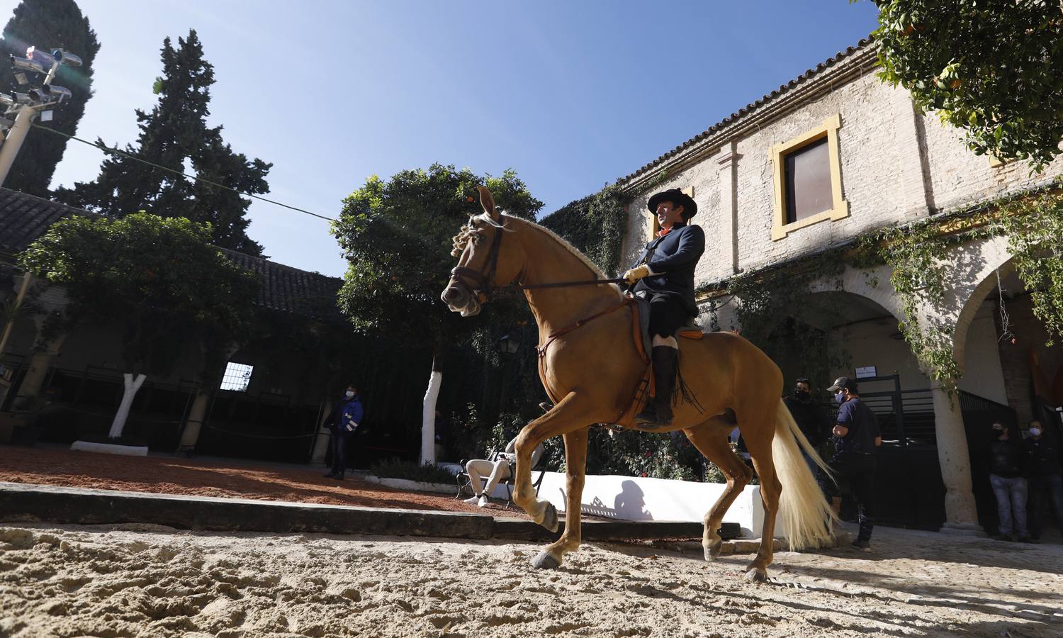 El XVIII Campeonato de Andalucía de Alta Escuela en Caballerizas, en imágenes