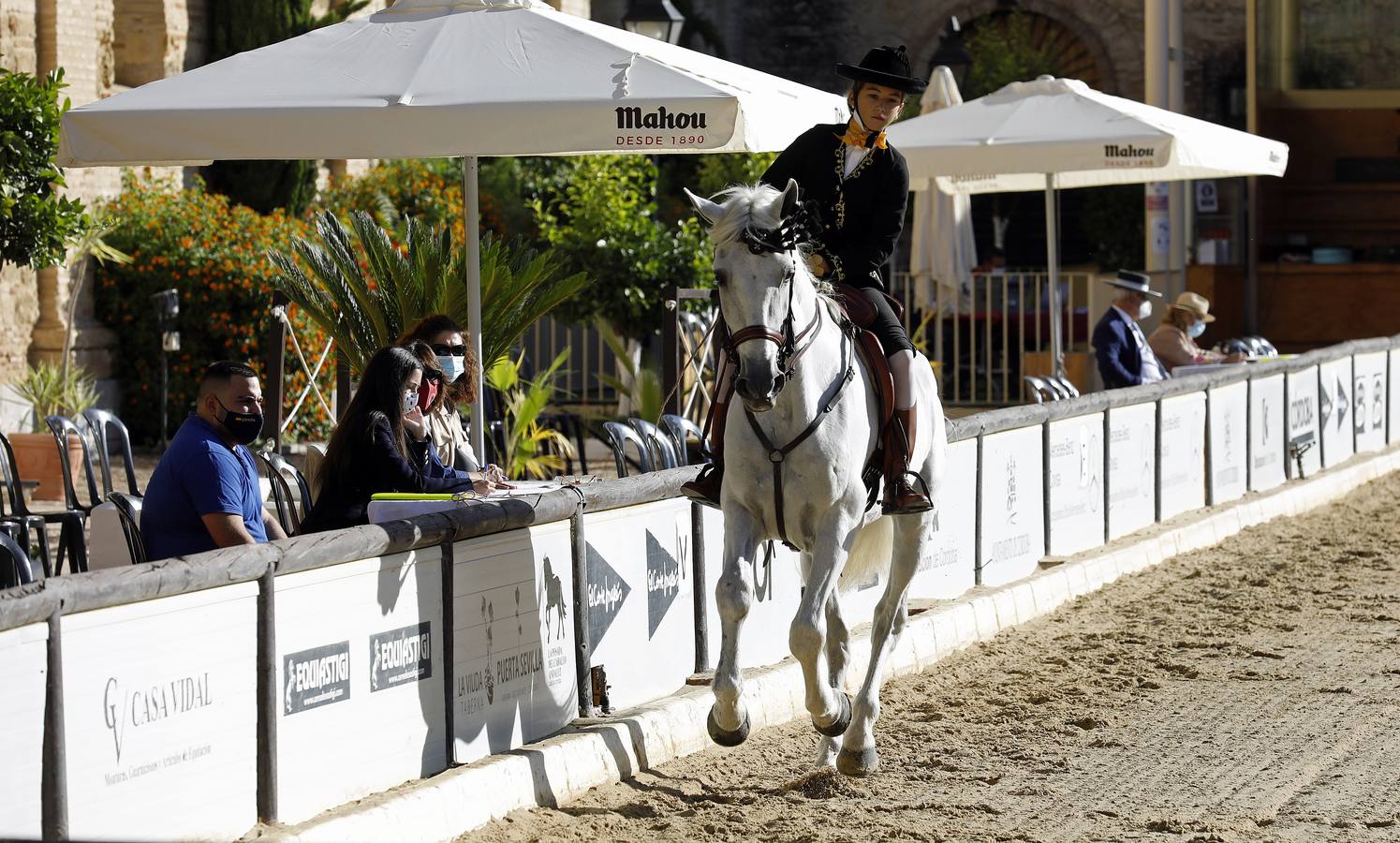 El XVIII Campeonato de Andalucía de Alta Escuela en Caballerizas, en imágenes