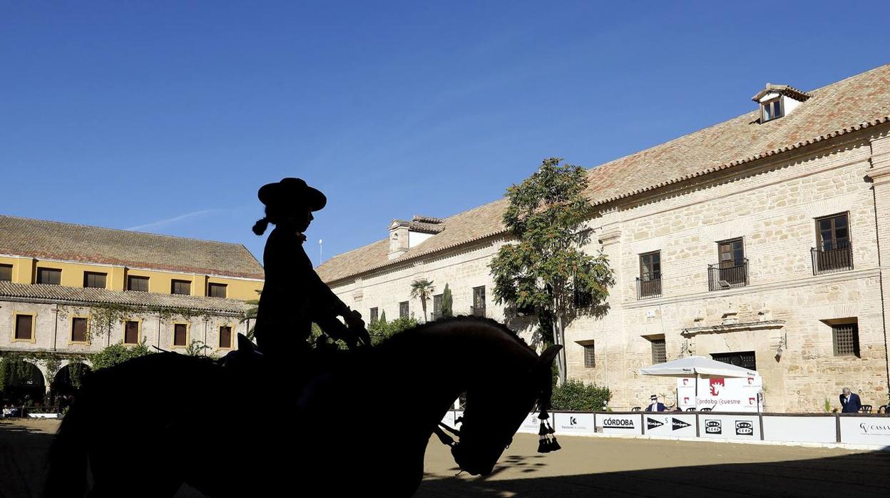 El XVIII Campeonato de Andalucía de Alta Escuela en Caballerizas, en imágenes