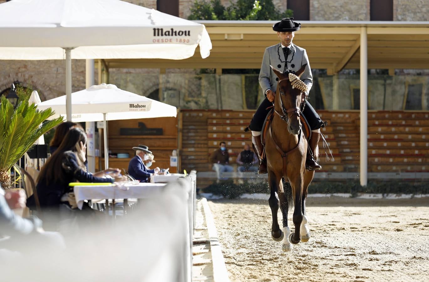 El XVIII Campeonato de Andalucía de Alta Escuela en Caballerizas, en imágenes