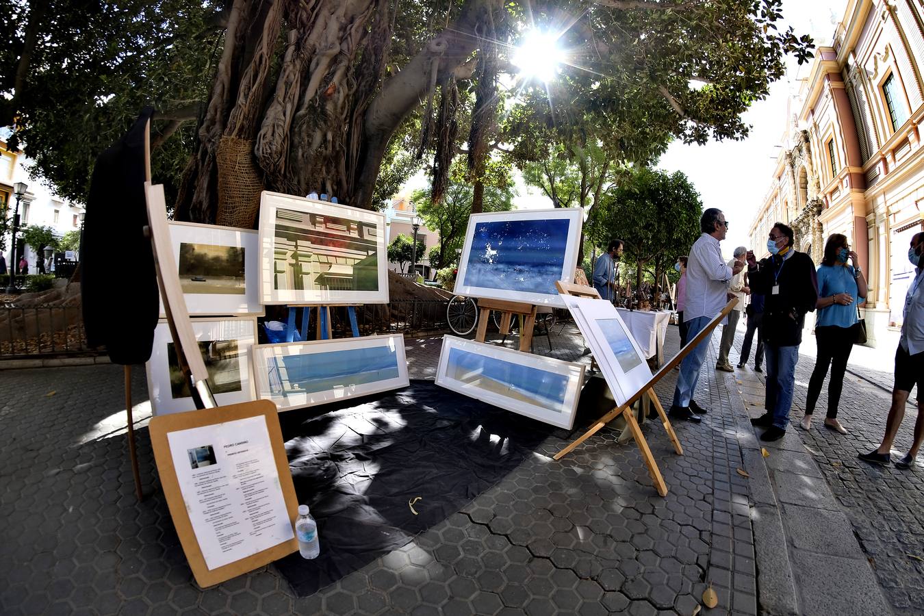 En imágenes, el arte vuelve a llenar la plaza del Museo