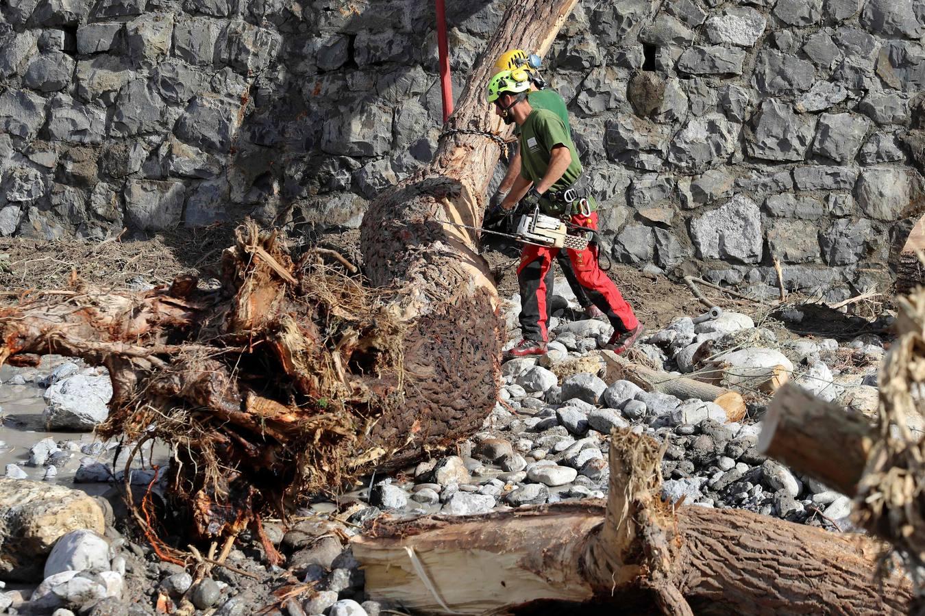 Imagen de un árbol arrancado en la localidad de Breil-sur-Roya. 