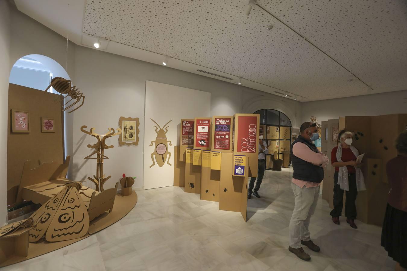 La Casa de la Ciencia de Sevilla reabre sus puertas con una exposición sobre Marte