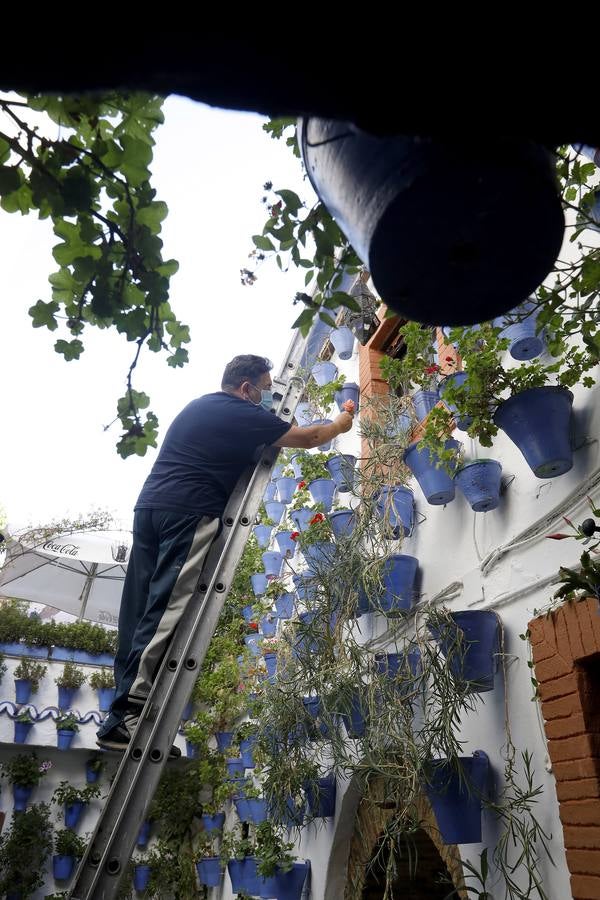 En imágenes, los Patios de Córdoba 2020 se preparan para su apertura