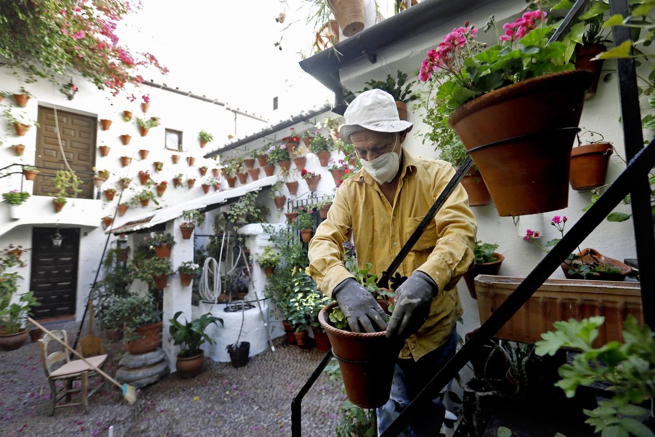 En imágenes, los Patios de Córdoba 2020 se preparan para su apertura