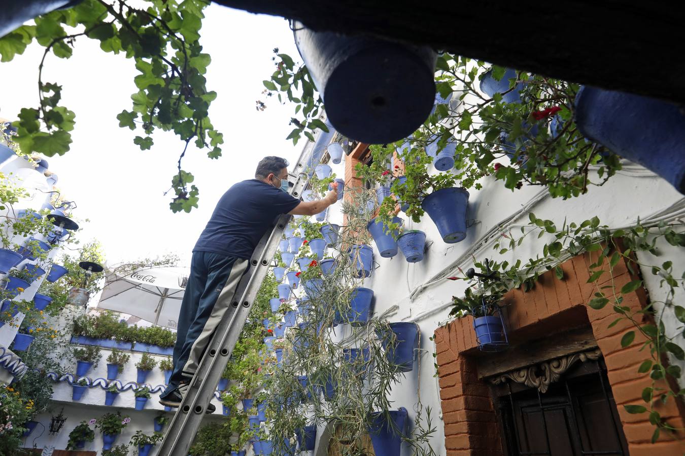 En imágenes, los Patios de Córdoba 2020 se preparan para su apertura