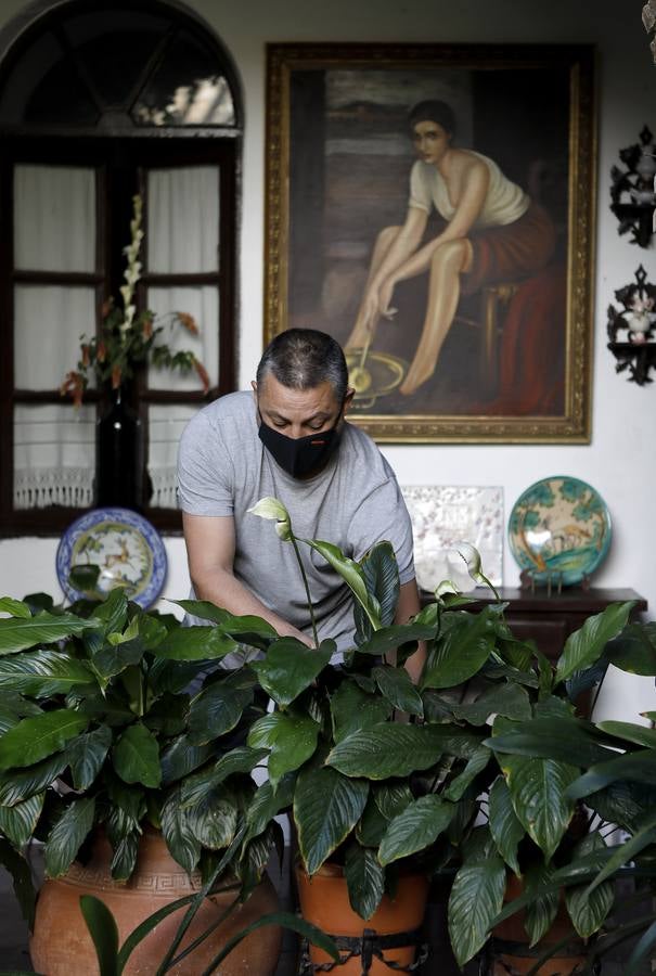 En imágenes, los Patios de Córdoba 2020 se preparan para su apertura