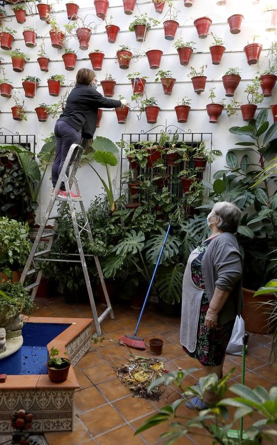 En imágenes, los Patios de Córdoba 2020 se preparan para su apertura