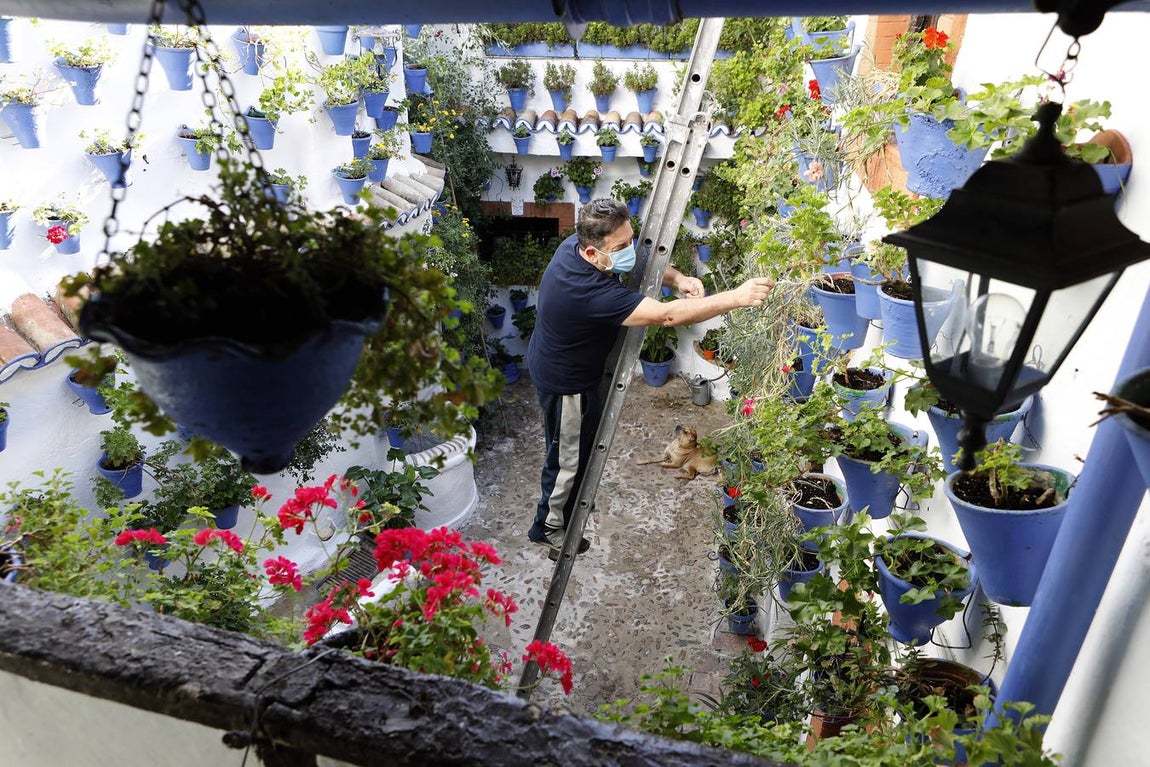 En imágenes, los Patios de Córdoba 2020 se preparan para su apertura