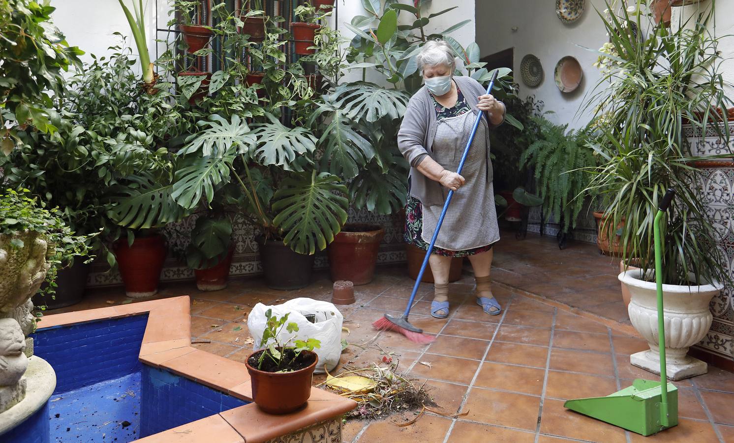 En imágenes, los Patios de Córdoba 2020 se preparan para su apertura