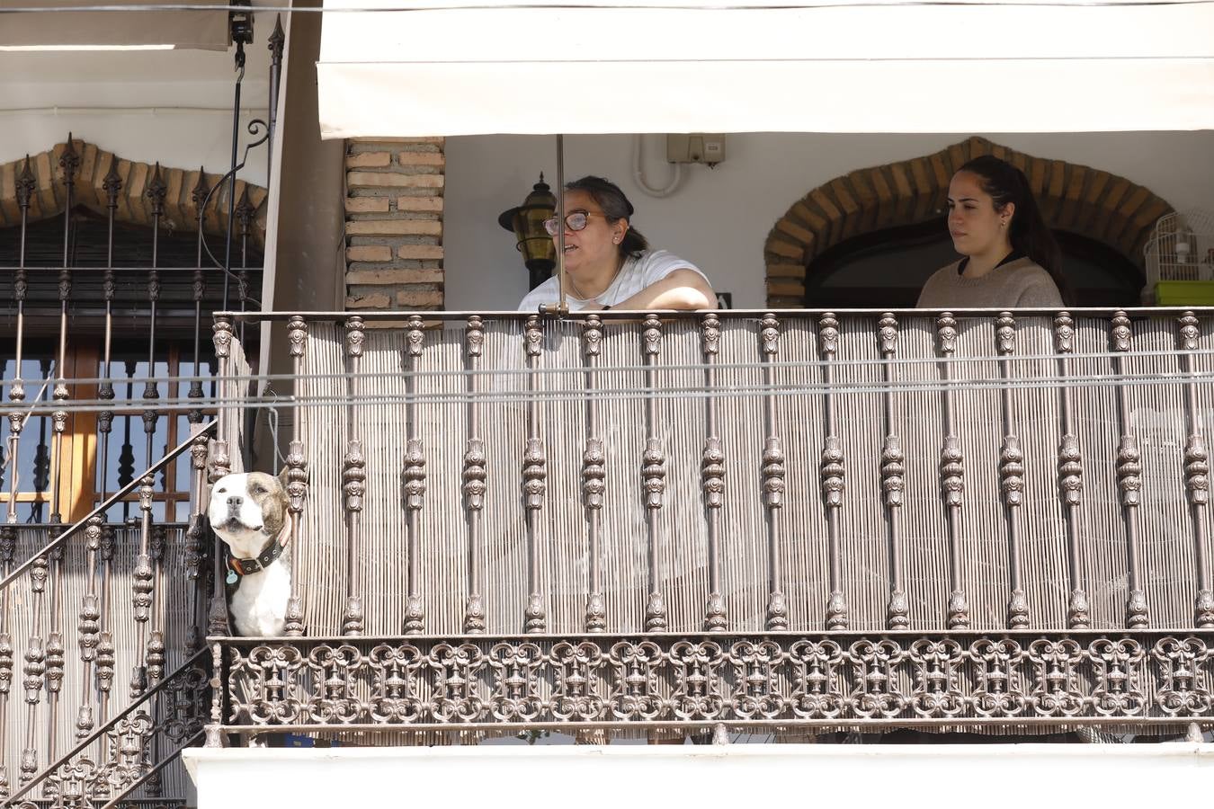 El primer día de confinamiento en Almodóvar del Río (II), en imágenes