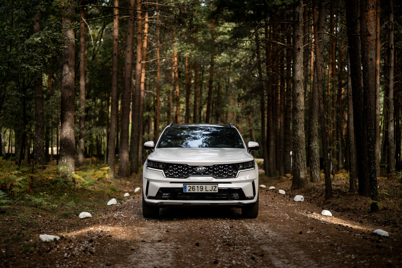 Fotogalería: Kia Sorento