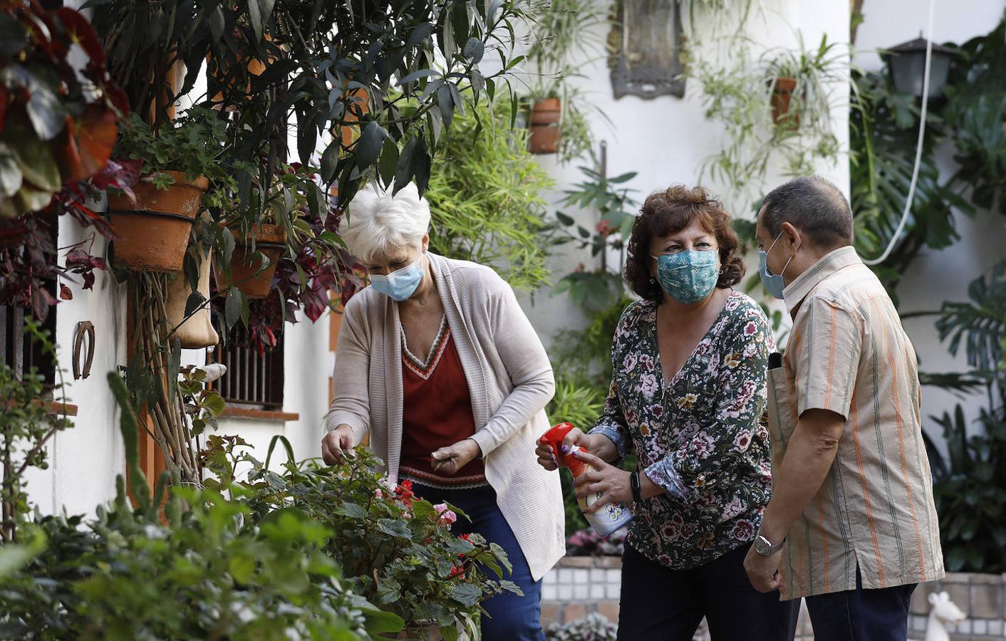 Patios Córdoba 2020 | La labor de los controladores y propietarios, en imágenes