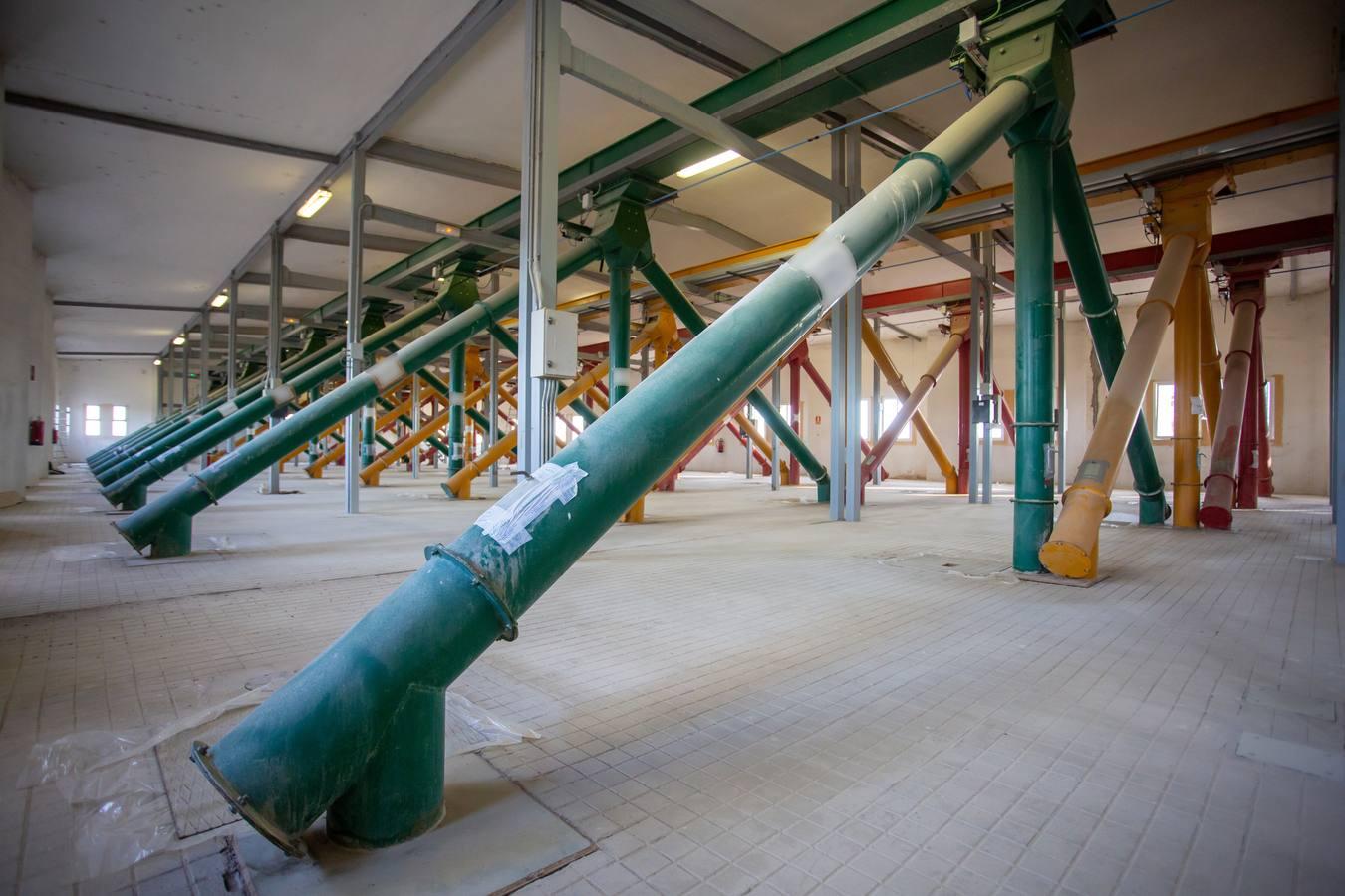 Reconversión del silo de Las Cabezas de San Juan, en imágenes