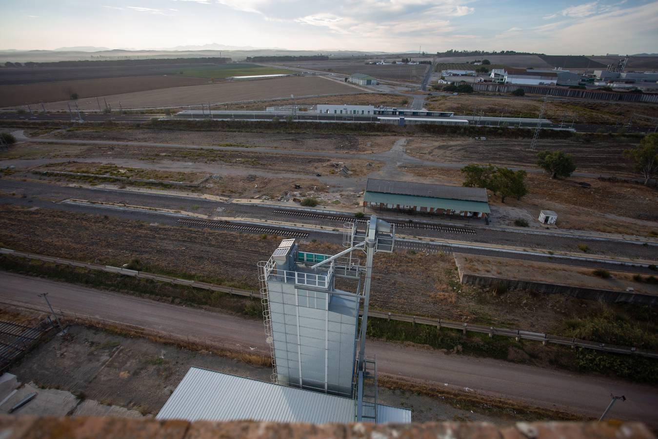 Reconversión del silo de Las Cabezas de San Juan, en imágenes