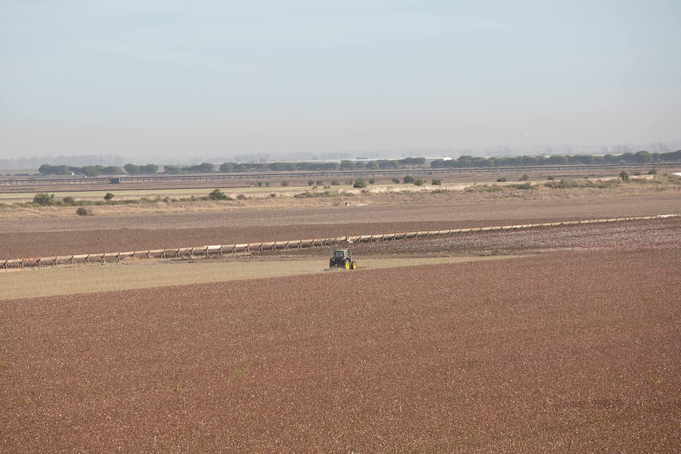 Reconversión del silo de Las Cabezas de San Juan, en imágenes