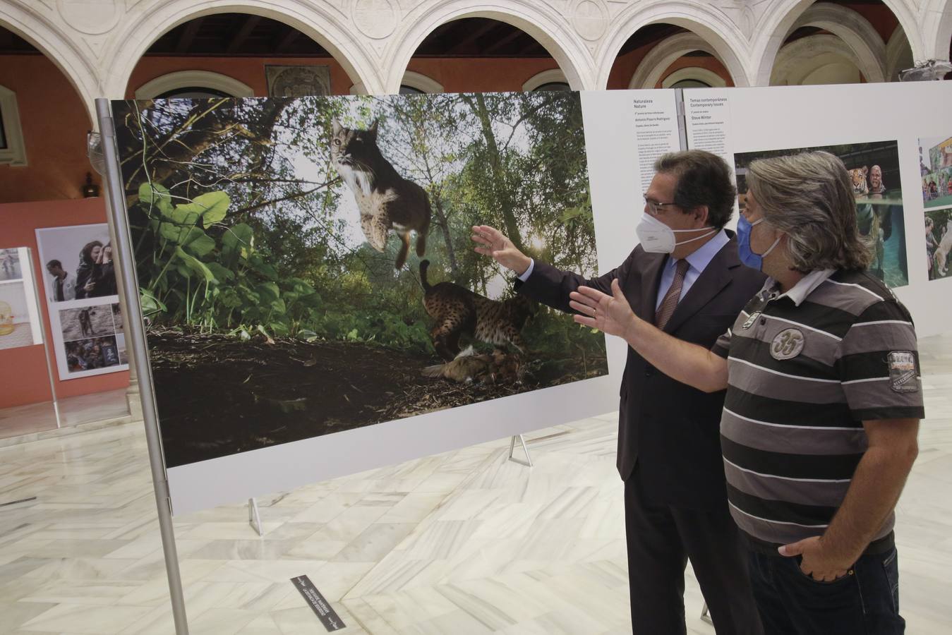 En imágenes, muestra de la World Press Photo en la Fundación Cajasol