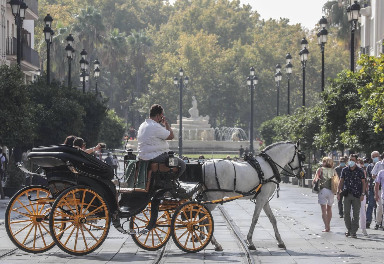 En imágenes, turistas en el centro de Sevilla durante este puente