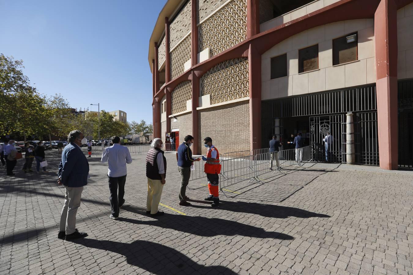 La vuelta de los toros a Córdoba, en imágenes