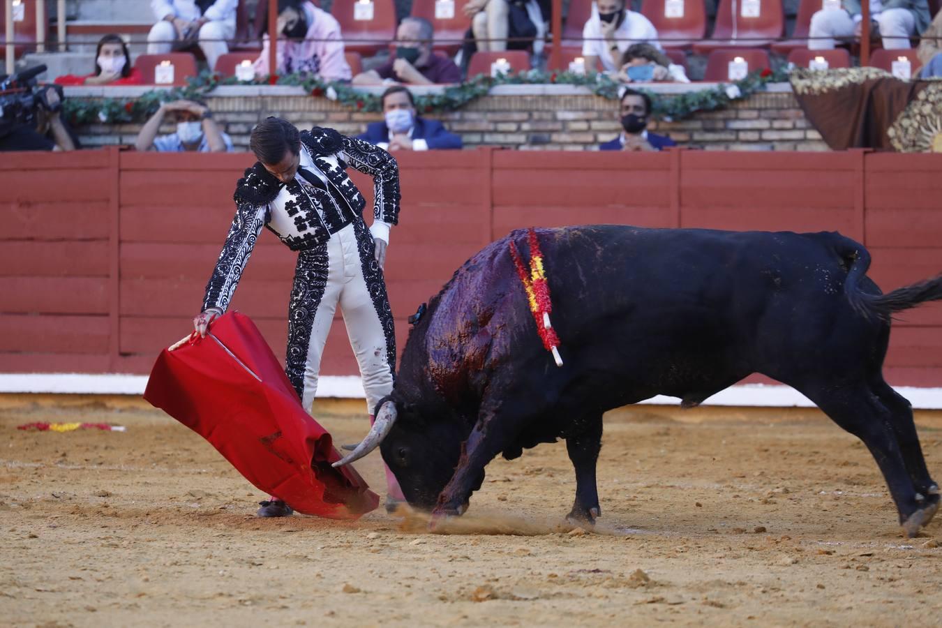 La vuelta de los toros a Córdoba, en imágenes