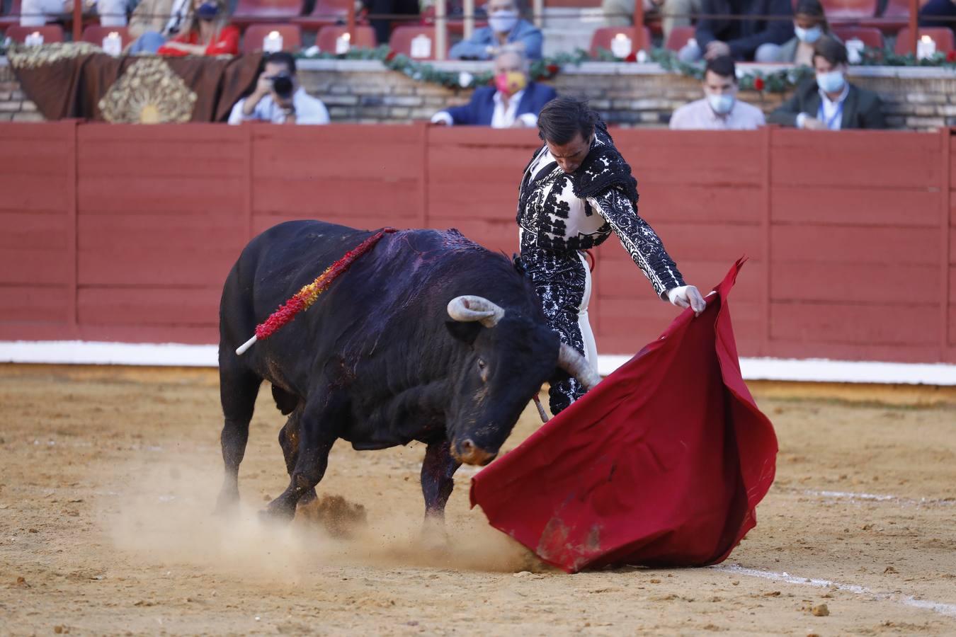 La vuelta de los toros a Córdoba, en imágenes