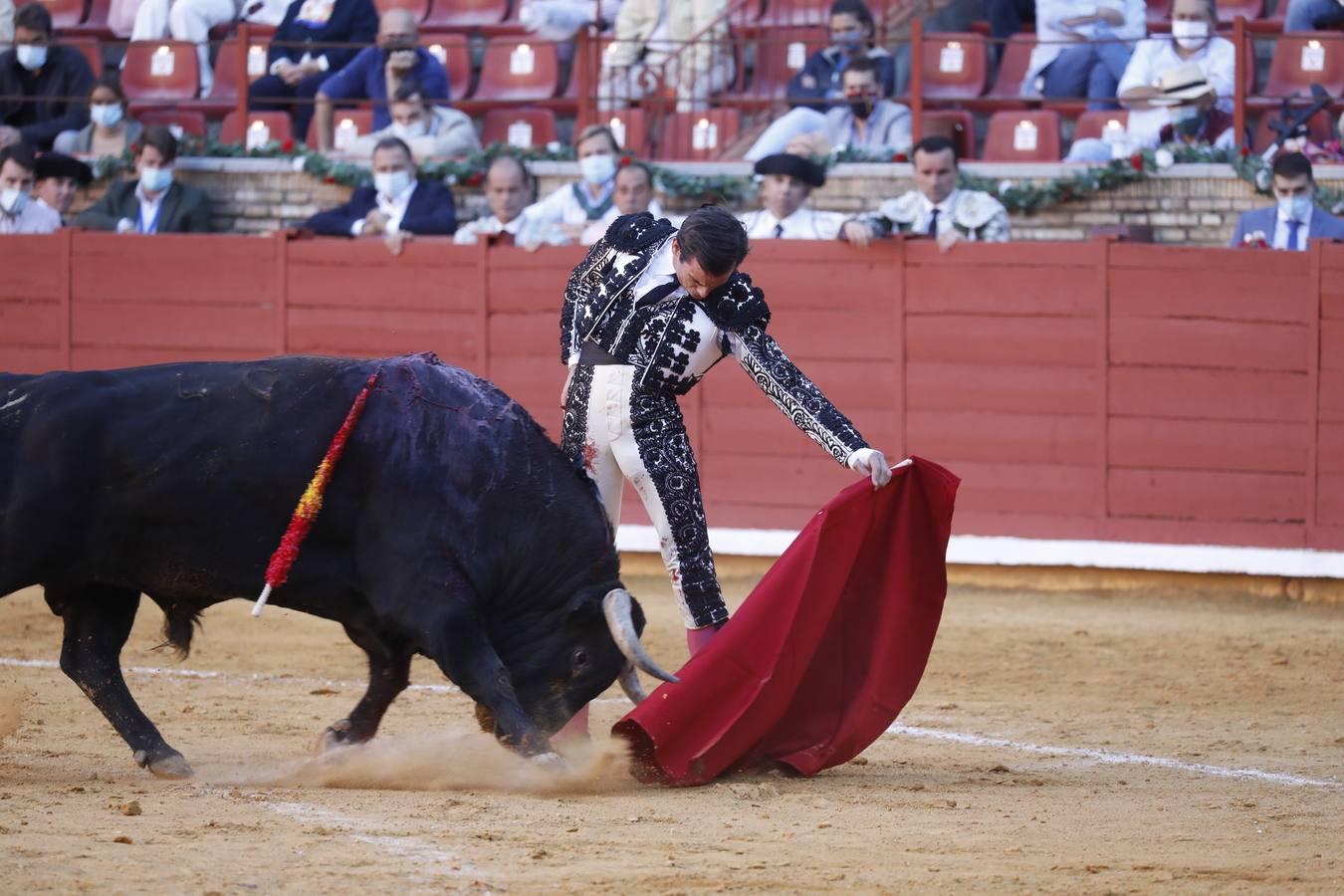 La vuelta de los toros a Córdoba, en imágenes