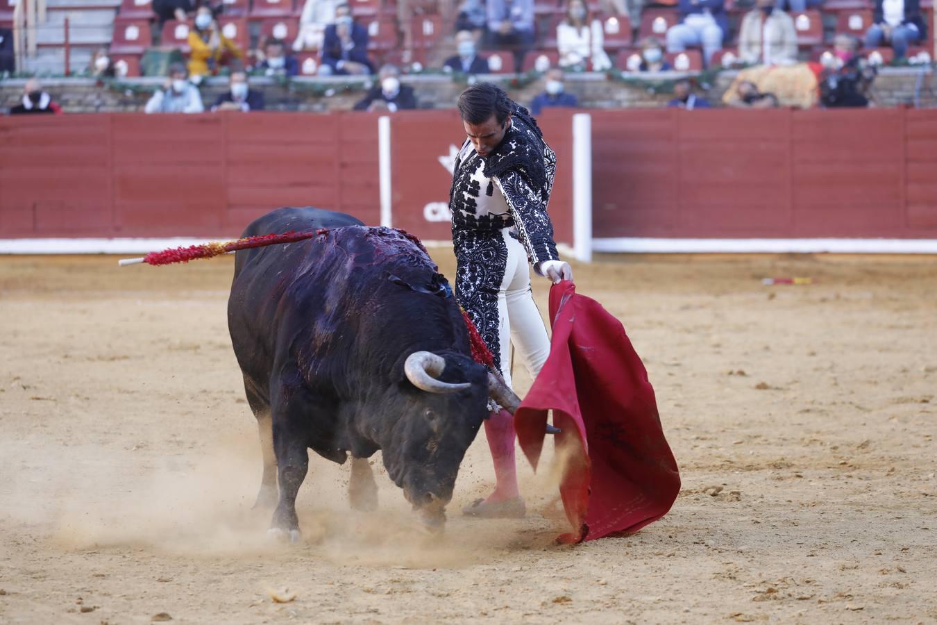 La vuelta de los toros a Córdoba, en imágenes