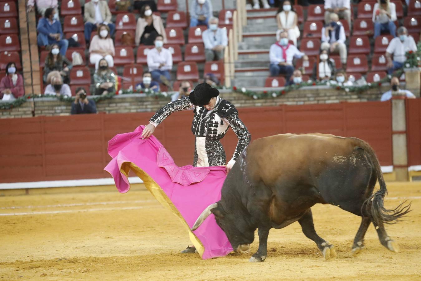 La vuelta de los toros a Córdoba, en imágenes