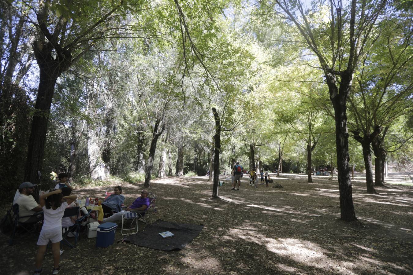 Gran afluencia de turistas en la Sierra de Cádiz en el puente del Pilar