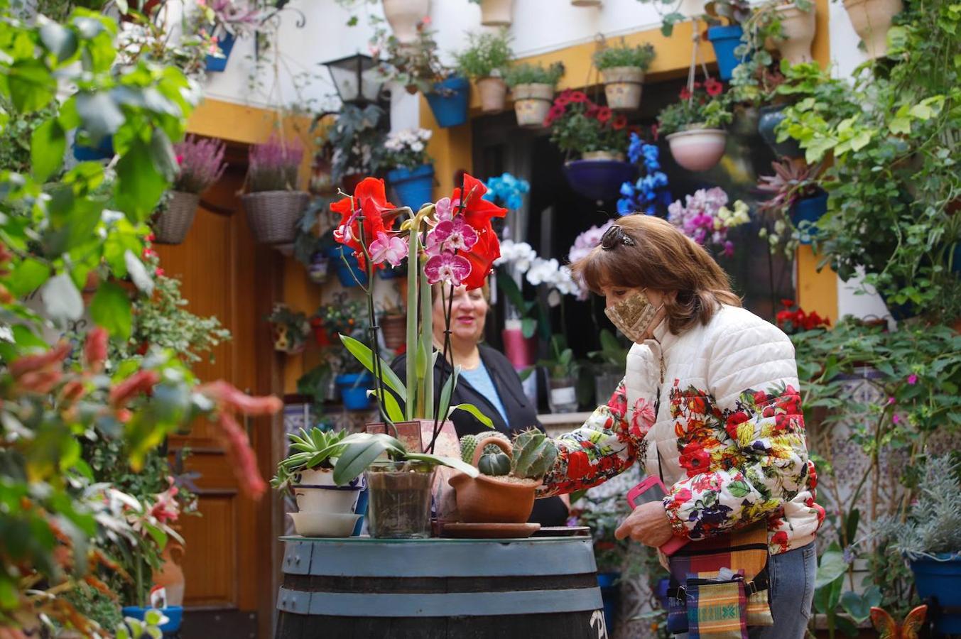 Ruta de San Lorenzo, cuando las plantas escoltan a la vida diaria en Córdoba