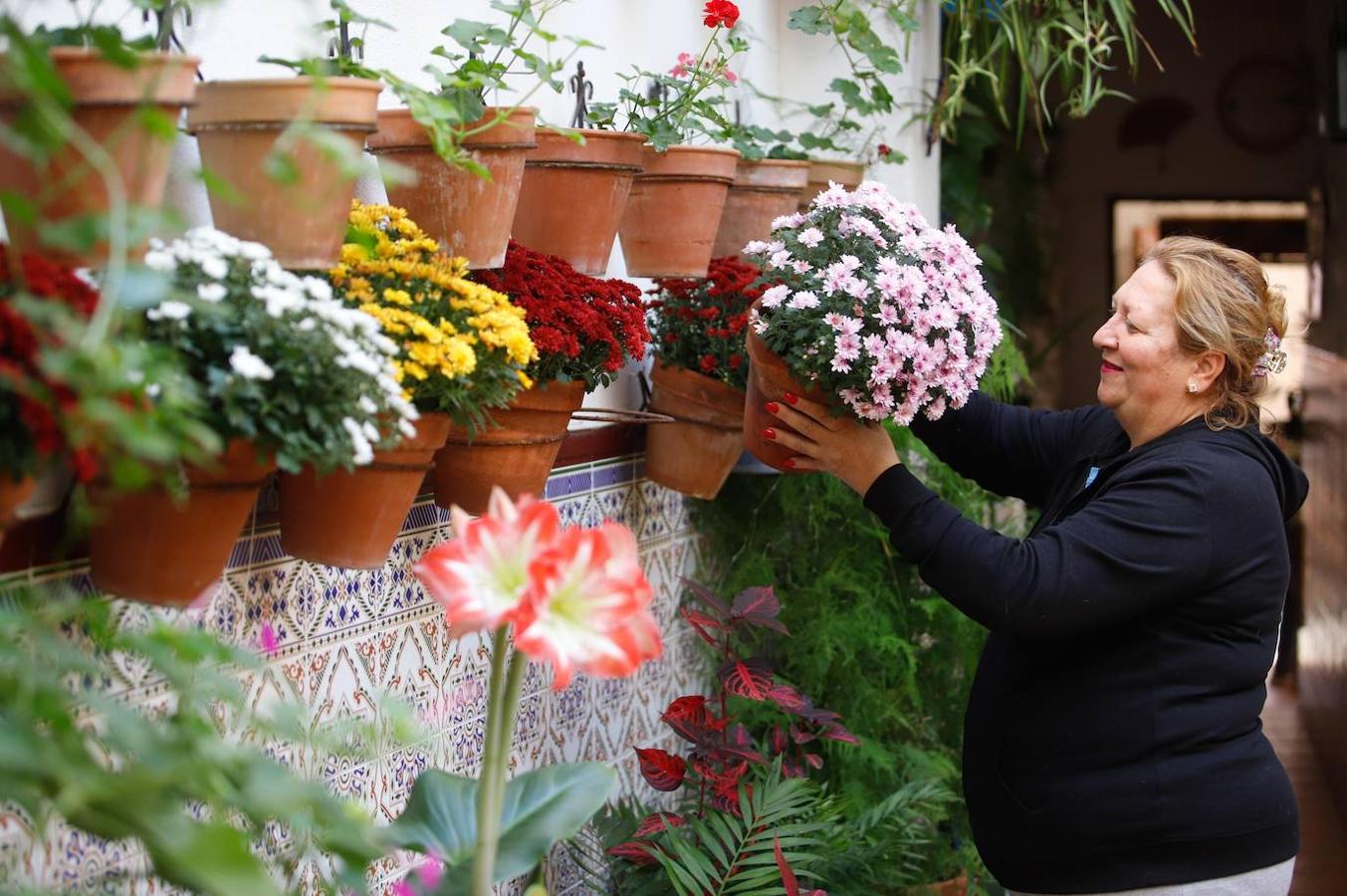 Patios Córdoba 2020 | La ruta de San Lorenzo, en imágenes